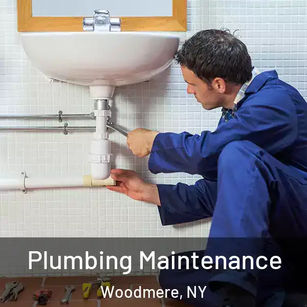  Plumbing Maintenance Woodmere, NY
